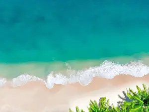 Coconut Palm Tree Prints: Aerial view top view Beautiful topical beach with white sand coconut palm trees and sea