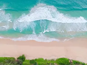 Coconut Palm Tree Prints: Aerial view top view Beautiful topical beach with white sand coconut palm trees and sea