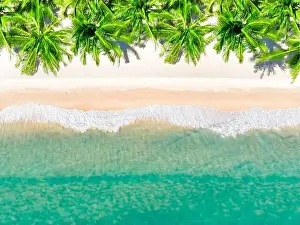 Coconut Palm Tree Prints: Aerial view top view Beautiful topical beach with white sand coconut palm trees and sea