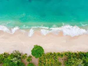 Coconut Palm Tree Prints: Aerial view top view Beautiful topical beach with white sand coconut palm trees and sea