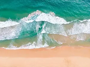 Coconut Palm Tree Prints: Aerial view top view Beautiful topical beach with white sand coconut palm trees and sea