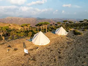 Natural Wonder Prints: Aerial view of white tents nestled among the iconic Dragon's Blood Trees