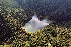Aerial view of wild Lake Synevir in Carpathian Mountains in Ukraine. Foggy lake in summer autumn forest. Landscape photography