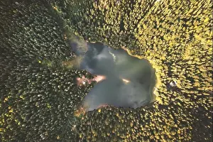 Aerial view of wild Lake Synevir in Carpathian Mountains in Ukraine. Foggy lake in summer autumn forest. Landscape photography