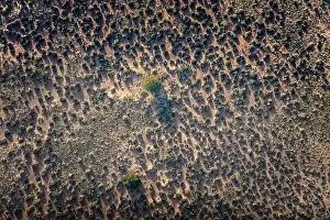 Moab Prints: Aerial view on a wilderness area with sand and bushes close to Moab, Utah