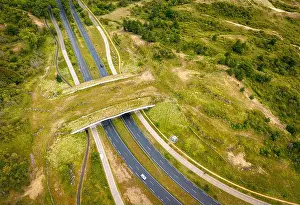 Wild Animals Prints: Aerial view of wildlife crossing eco-bridge over motorway