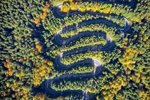 Images Dated 12th October 2019: Aerial view of a winding mountain road passing through a fir trees forest. Autumn colors