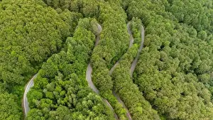 Aerial view of a winding road passing through a lush green forest
