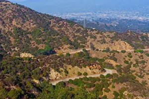 Griffith Park Prints: Aerial view of winding trails surrounded by greenery in Griffith Park