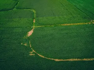 Matte Prints: An aerial view of a wisconsin summertime farm with growing corn