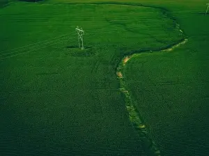 Matte Prints: An aerial view of a wisconsin summertime farm with growing corn