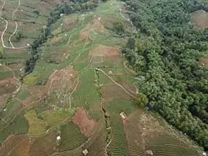 Aerial view of World heritage Panyaweuyan rice terraces in Majalengka with noise cloud
