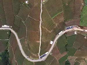 Aerial view of World heritage Panyaweuyan rice terraces in Majalengka with noise cloud