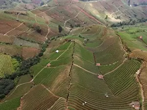Landmark Tower Prints: Aerial view of World heritage Panyaweuyan rice terraces in Majalengka with noise cloud