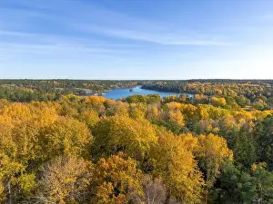 Aerial view of yellow autumn leaf foliage in trees of Hellasgården Nackareservatet nature reserve in Sweden