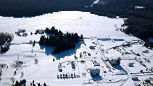Natural Lighting Prints: Aerial winter landscape with a snow covered field and growing pine trees