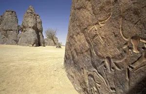 Algeria Prints: Africa, Algeria, Sahara, Terarart. Crying Cow, carved stone in desert
