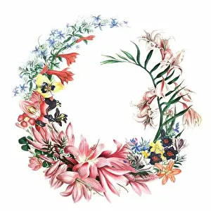 Floral Art Prints: African Flowers. Digital watercolor with a vintage style on a white background