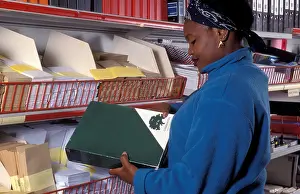 Assistant Prints: Afro-Caribbean/African woman in stationers shop looking at recycled paper products