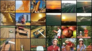 Agricultural and Farming Jobs. Farmers at Various Seasonal Agricultural Work in a Field
