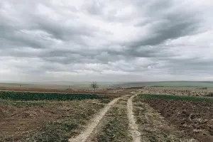 Beauty Of Nature Prints: Agricultural field under cloudy sky