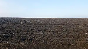 Arable Prints: Agricultural field plowed by tractors under blue sky