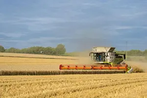 Wheat Grain Prints: An agricultural machine collecting wheat in a field, Heilbronn, Germany