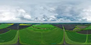 Pano Prints: Agriculture. Rows of apple trees grow