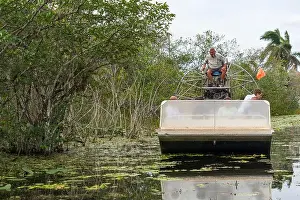 Scenic Beauty Prints: An Airboat Ride and Tour at Everglades National Park, Florida, United States