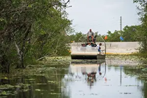 Scenic Beauty Prints: An Airboat Ride and Tour at Everglades National Park, Florida, United States