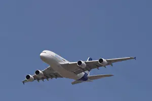 Airbus Prints: Airbus A380
