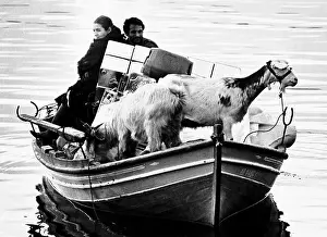 Calm Waters Prints: AJAXNETPHOTO. 1976. MELINA (MILINA)