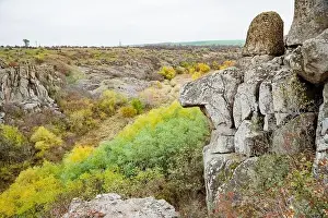 Aktovsky Canyon, Ukraine. Autumn trees and large stone boulders around