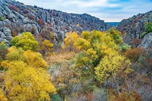 Mertvovod Prints: Aktovsky Canyon, Ukraine. Autumn trees and large stone boulders around