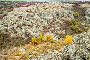 Mertvovod Prints: Aktovsky Canyon, Ukraine. Autumn trees and large stone boulders around