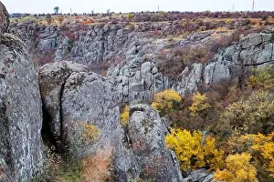Mertvovod Prints: Aktovsky Canyon, Ukraine. Autumn trees and large stone boulders around