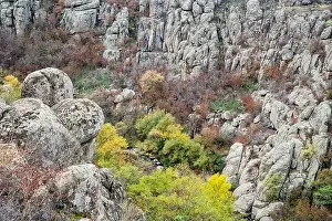 Mertvovod Prints: Aktovsky Canyon, Ukraine. Autumn trees and large stone boulders around