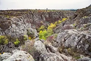Mertvovod Prints: Aktovsky Canyon, Ukraine. Autumn trees and large stone boulders around