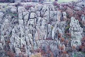 Mertvovod Prints: Aktovsky Canyon, Ukraine. Autumn trees and large stone boulders around