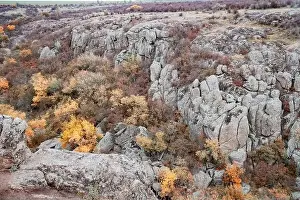 Mertvovod Prints: Aktovsky Canyon, Ukraine. Autumn trees and large stone boulders around