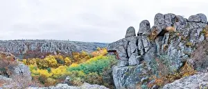 Flows Prints: Aktovsky Canyon, Ukraine. Autumn trees and large stone boulders around