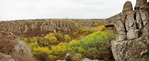 Flows Prints: Aktovsky Canyon, Ukraine. Autumn trees and large stone boulders around