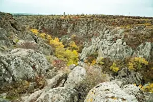 Flows Prints: Aktovsky Canyon, Ukraine. Autumn trees and large stone boulders around