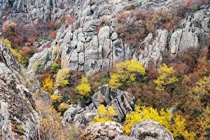Flows Prints: Aktovsky Canyon, Ukraine. Autumn trees and large stone boulders around