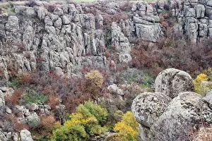Flows Prints: Aktovsky Canyon, Ukraine. Autumn trees and large stone boulders around