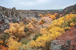 Flows Prints: Aktovsky Canyon, Ukraine. Autumn trees and large stone boulders around
