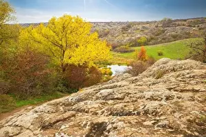 Flows Prints: Aktovsky Canyon, Ukraine. Autumn trees and large stone boulders around