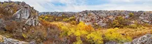 Flows Prints: Aktovsky Canyon, Ukraine. Autumn trees and large stone boulders around