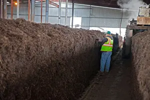 Compost Prints: Alamosa, Colorado - Compost for growing mushrooms is prepared at the Rakhra Mushroom Farm