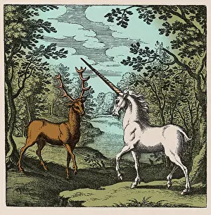 Alchemy Prints: Alchemy. Historical artwork from The Book of Lambspring (1749 edition)